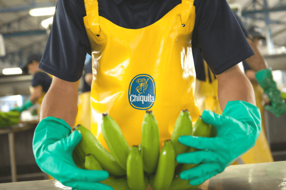 Quality standards Chiquita_Bananas