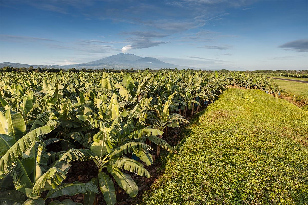 Chiquita land Sustainability