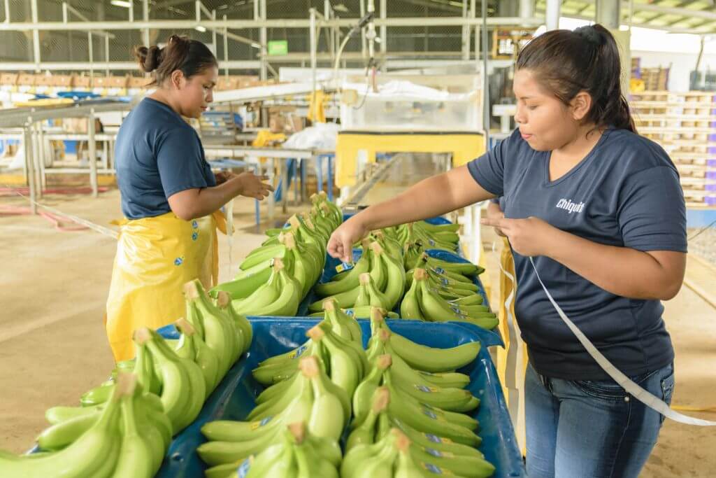 Chiquita Jobs